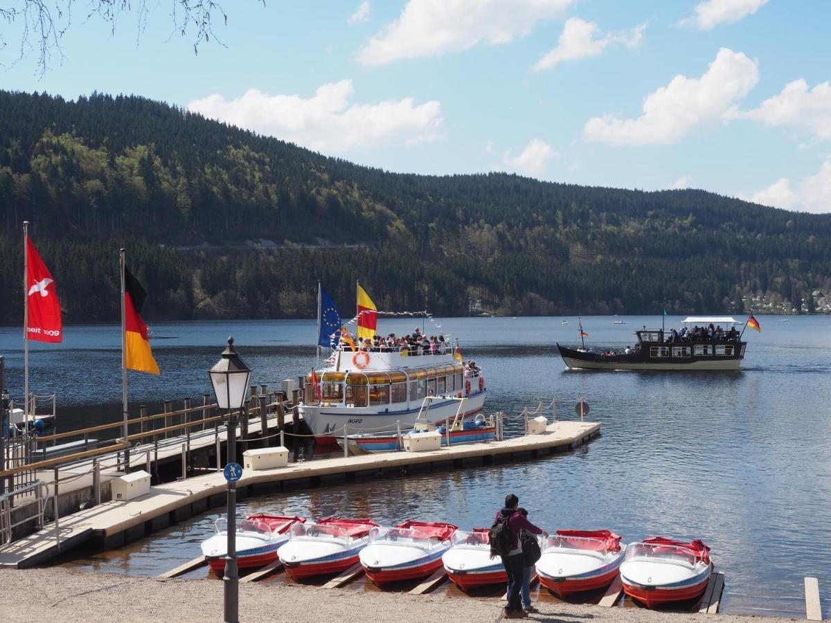 C4 Albmatte-Fewo Sauna, Hallenbad Aussenbecken Massagen Nebenan Menzenschwand-Hinterdorf エクステリア 写真
