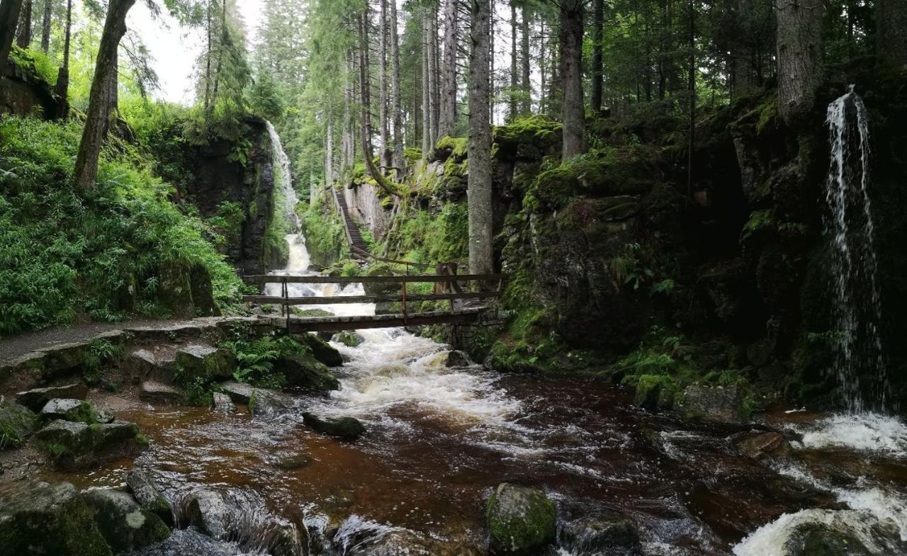 C4 Albmatte-Fewo Sauna, Hallenbad Aussenbecken Massagen Nebenan Menzenschwand-Hinterdorf エクステリア 写真