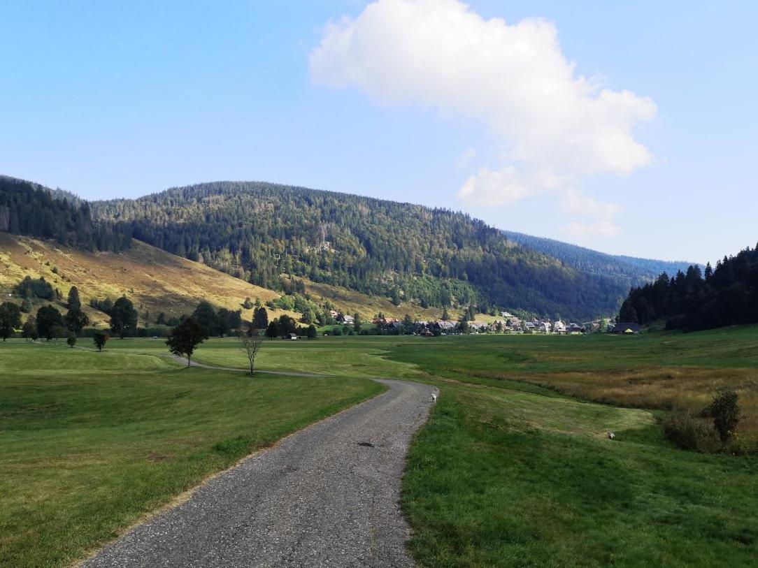 C4 Albmatte-Fewo Sauna, Hallenbad Aussenbecken Massagen Nebenan Menzenschwand-Hinterdorf エクステリア 写真