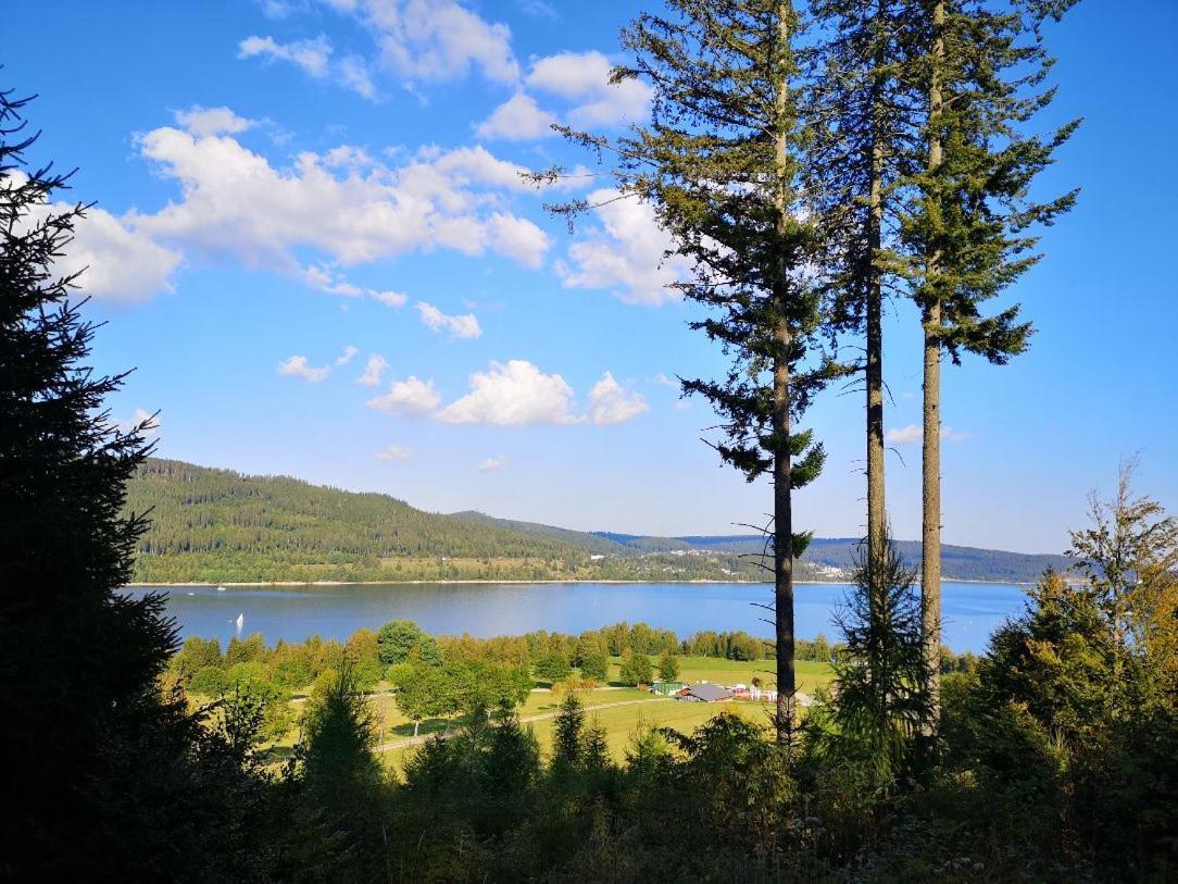 C4 Albmatte-Fewo Sauna, Hallenbad Aussenbecken Massagen Nebenan Menzenschwand-Hinterdorf エクステリア 写真