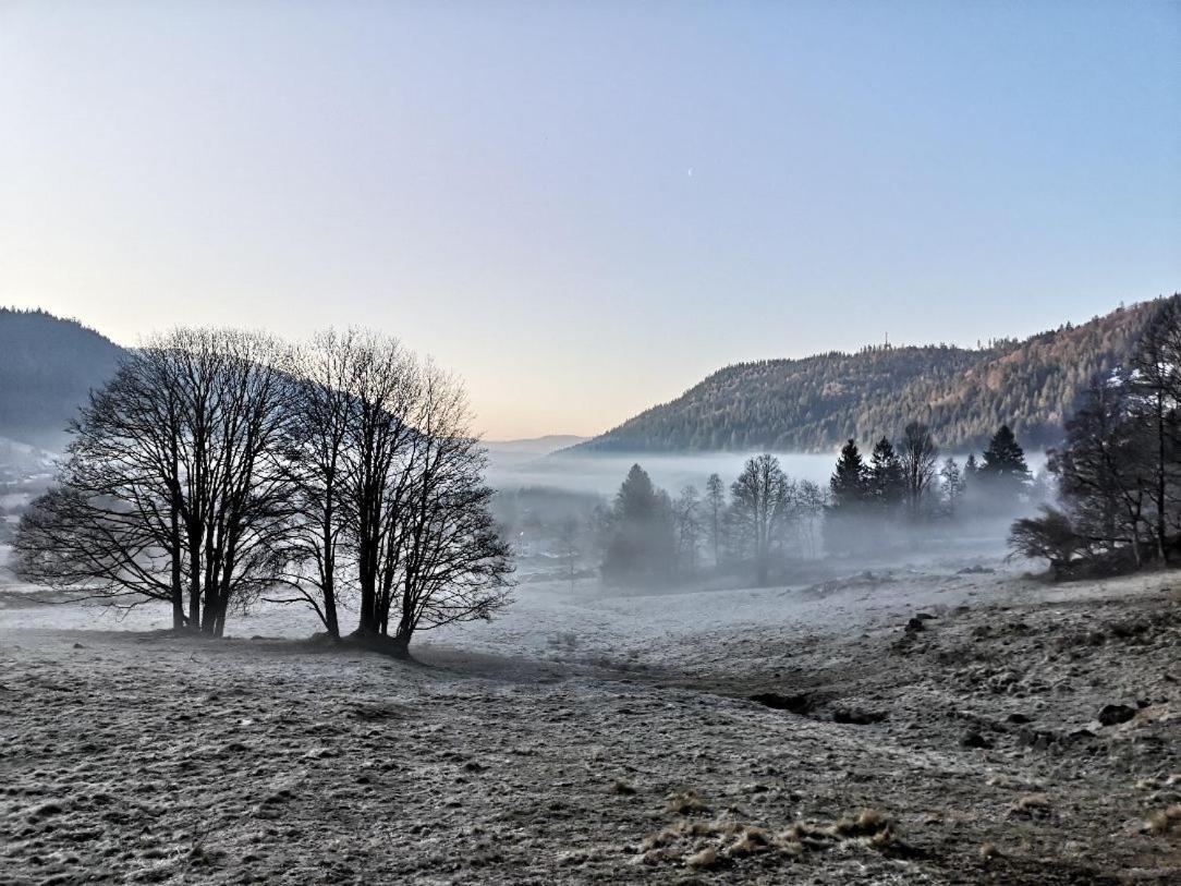 C4 Albmatte-Fewo Sauna, Hallenbad Aussenbecken Massagen Nebenan Menzenschwand-Hinterdorf エクステリア 写真