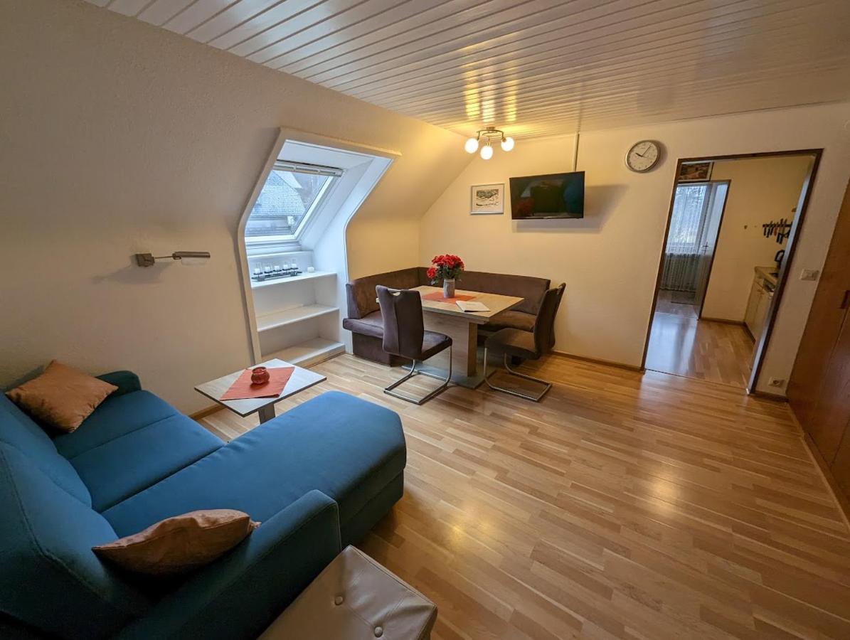 C4 Albmatte-Fewo Sauna, Hallenbad Aussenbecken Massagen Nebenan Menzenschwand-Hinterdorf エクステリア 写真