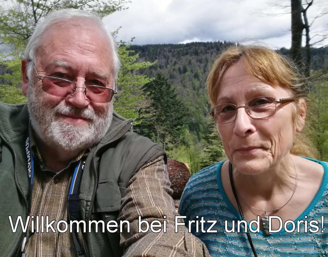 C4 Albmatte-Fewo Sauna, Hallenbad Aussenbecken Massagen Nebenan Menzenschwand-Hinterdorf エクステリア 写真